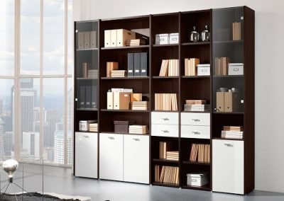 LIBRARY CUPBOARD