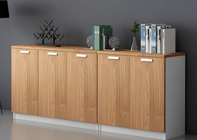 OFFICE CABINET